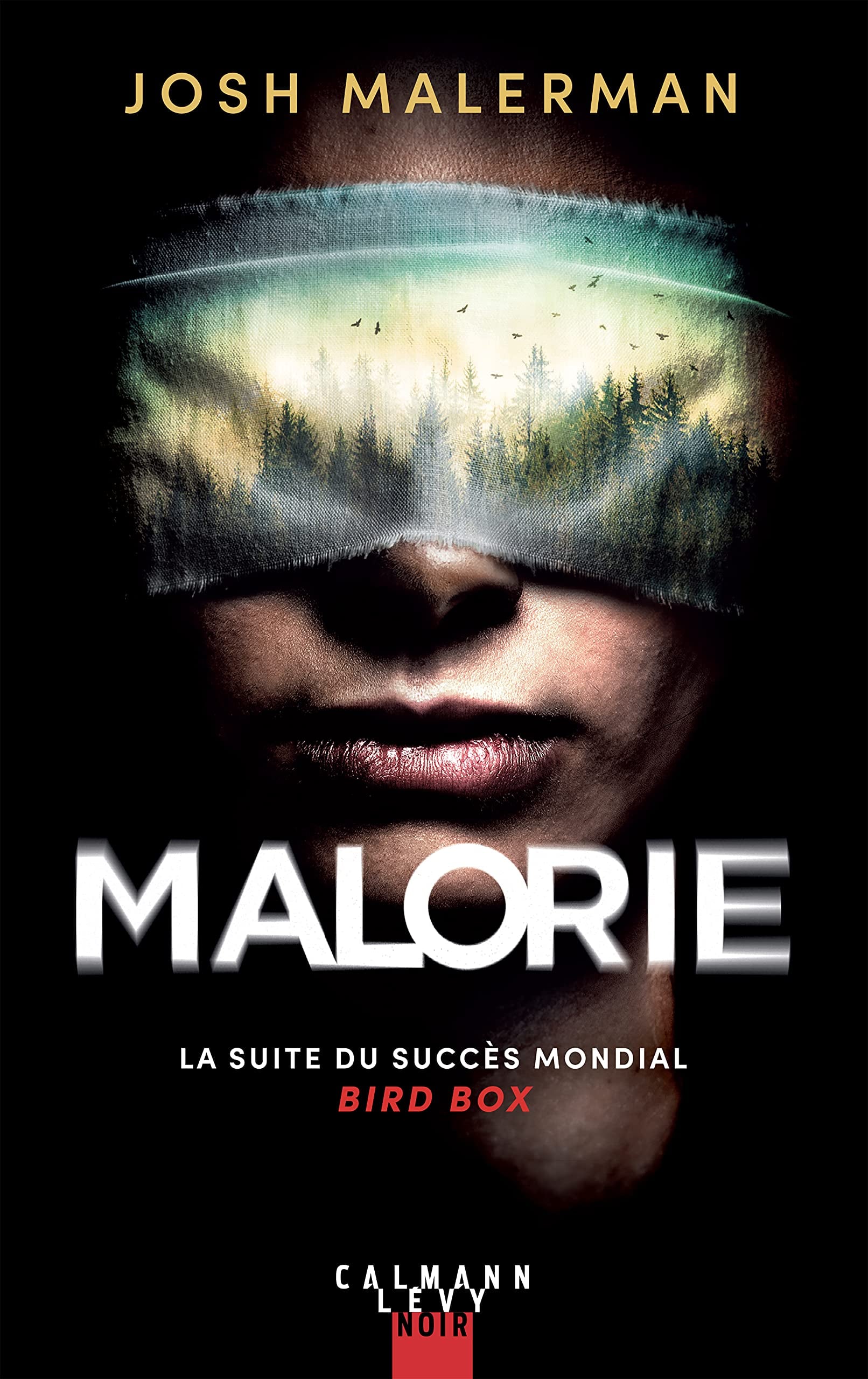 Malorie - Cover