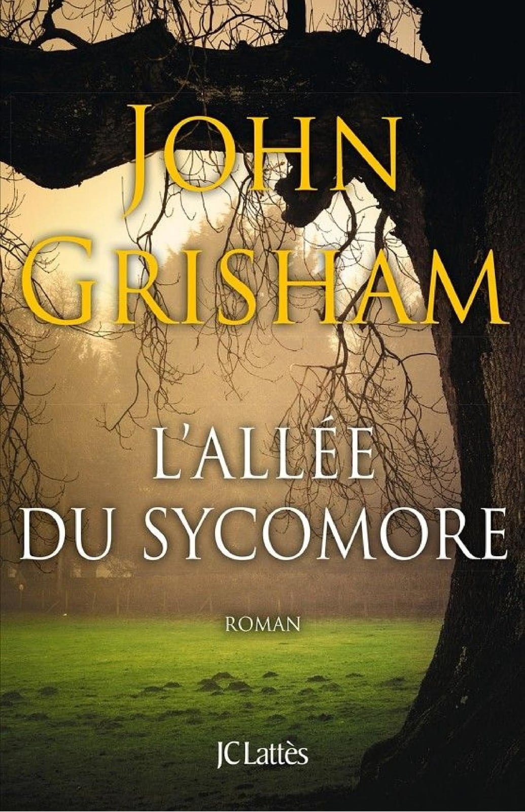 L'allée du sycomore - Cover