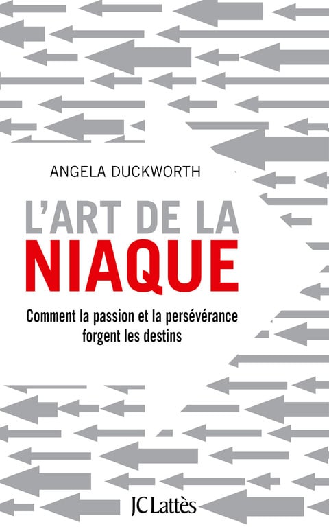 L'art de la niaque - Cover