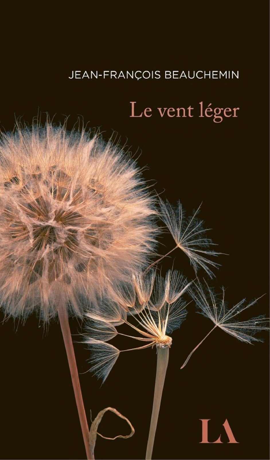 Le vent léger - Cover