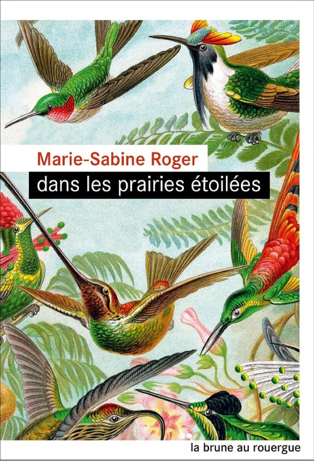 Dans les prairies étoilées - Cover