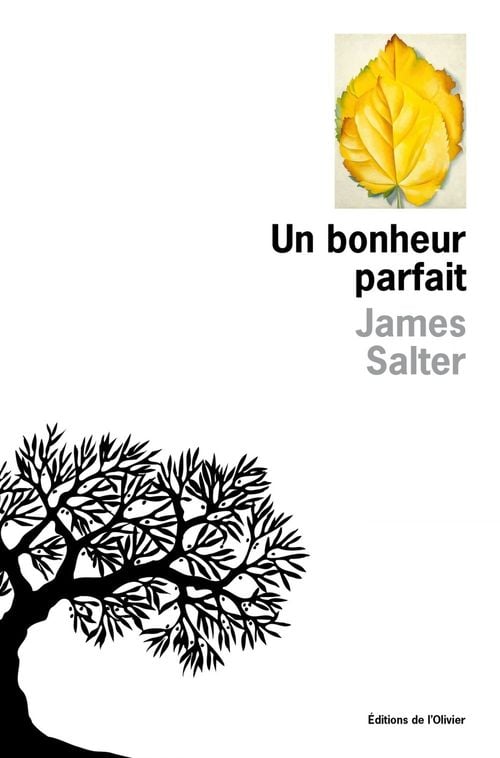Un bonheur parfait - Cover