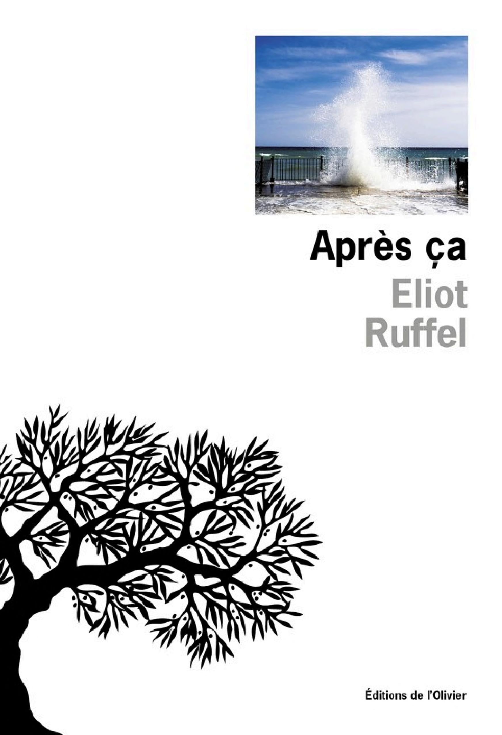 Après ça - Cover