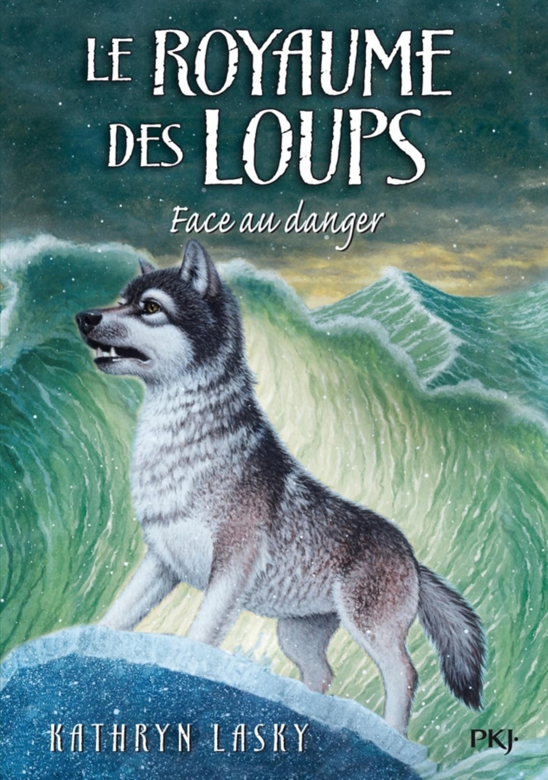 Le royaume des loups - tome 5 Face au danger - Cover