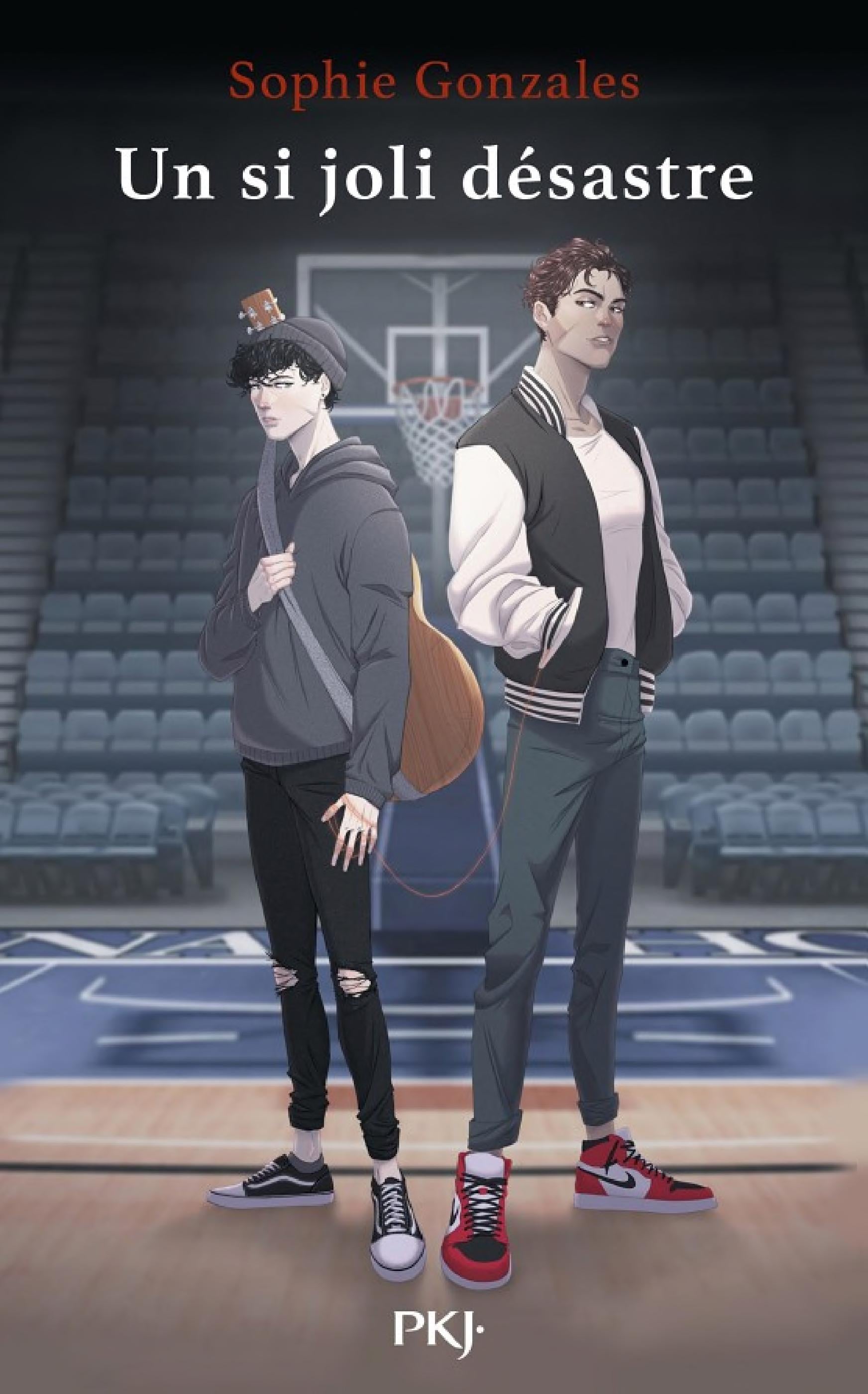 Un si joli désastre - Cover