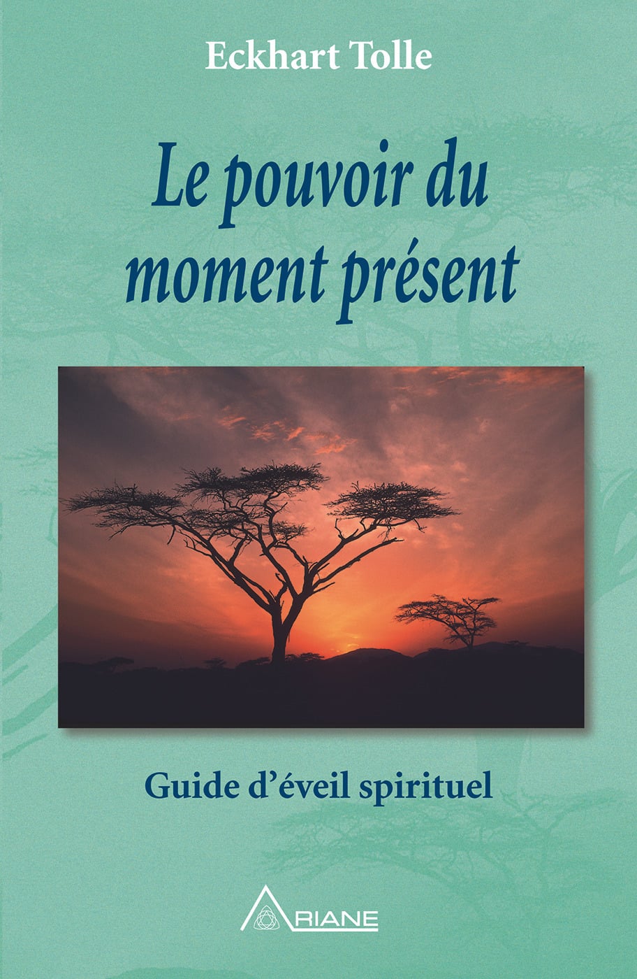 Le pouvoir du moment présent - Cover
