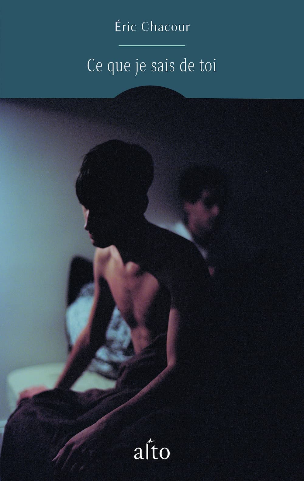 Ce Que Je Sais De Toi - Cover