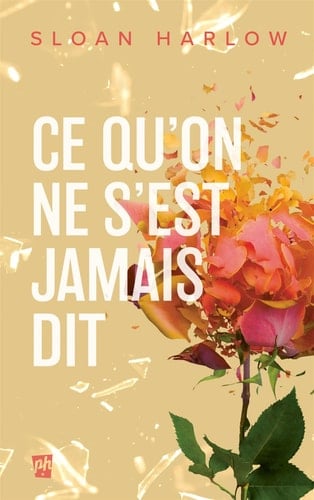 Ce qu'on ne s'est jamais dit - Cover
