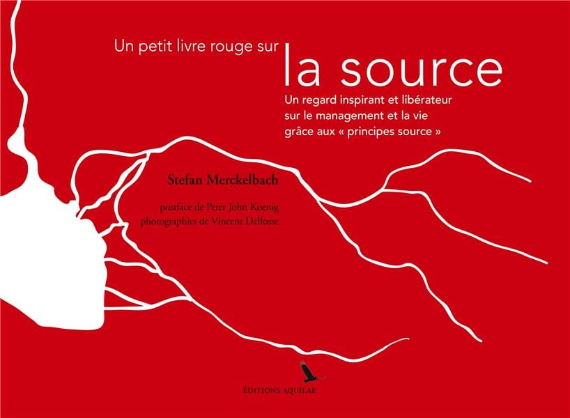 Un petit livre rouge sur la source - Cover