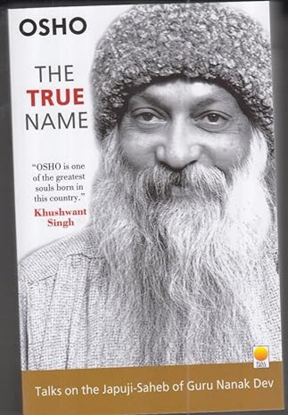 The True Name - Cover
