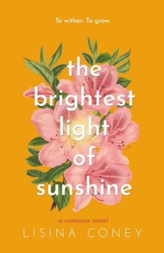 The Brightest Light of Sunshine - Cover