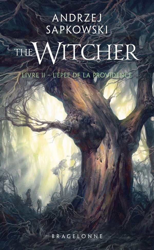 Sorceleur (Witcher) - Poche , T2 : L'Épée de la providence - Cover