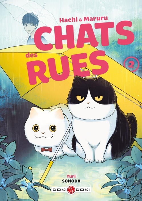 Hachi & Maruru - Chats des rues - Tome 2 - Tome 2 - Cover