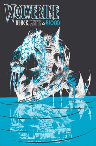 Memory Image