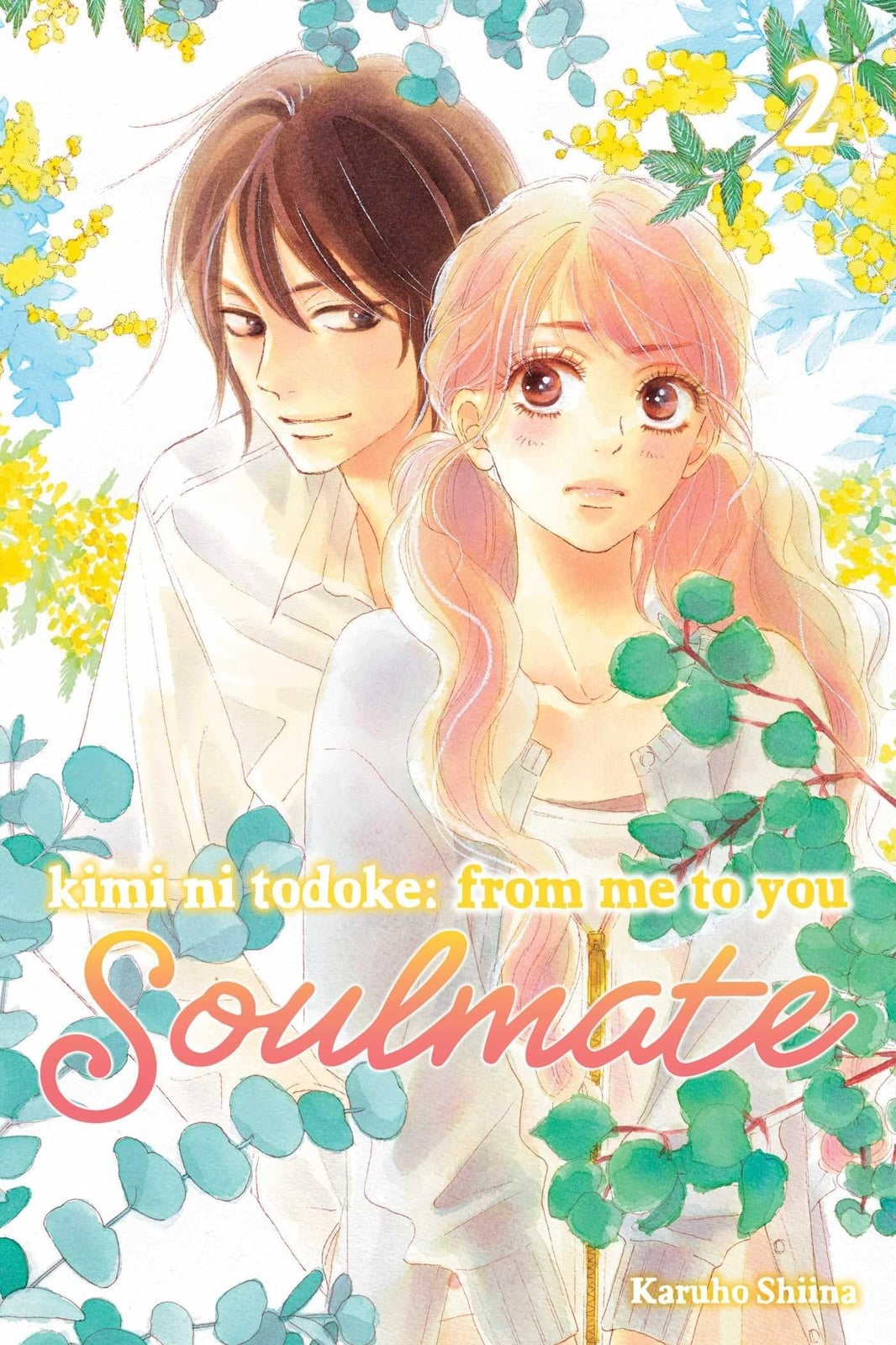 Kimi ni Todoke: From Me to You: Soulmate, Vol. 2 - Cover