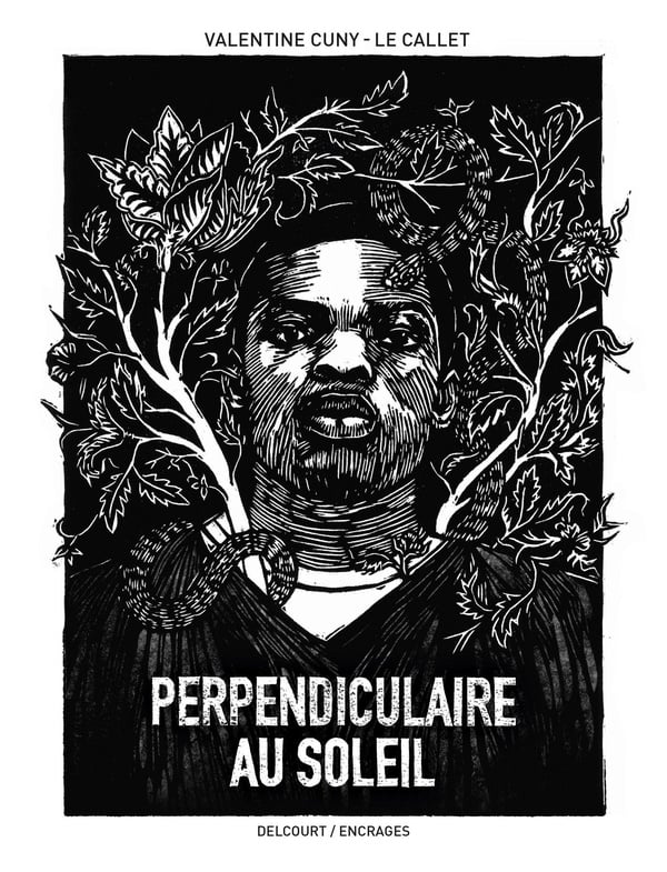 Perpendiculaire au soleil - Cover