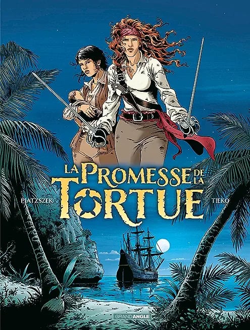 promesse de la tortue - Cover