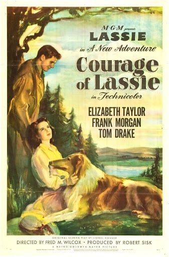 Courage of Lassie - Cover