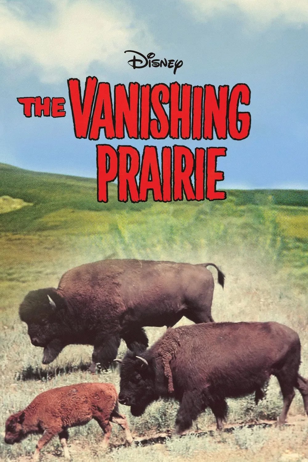 The Vanishing Prairie - Cover