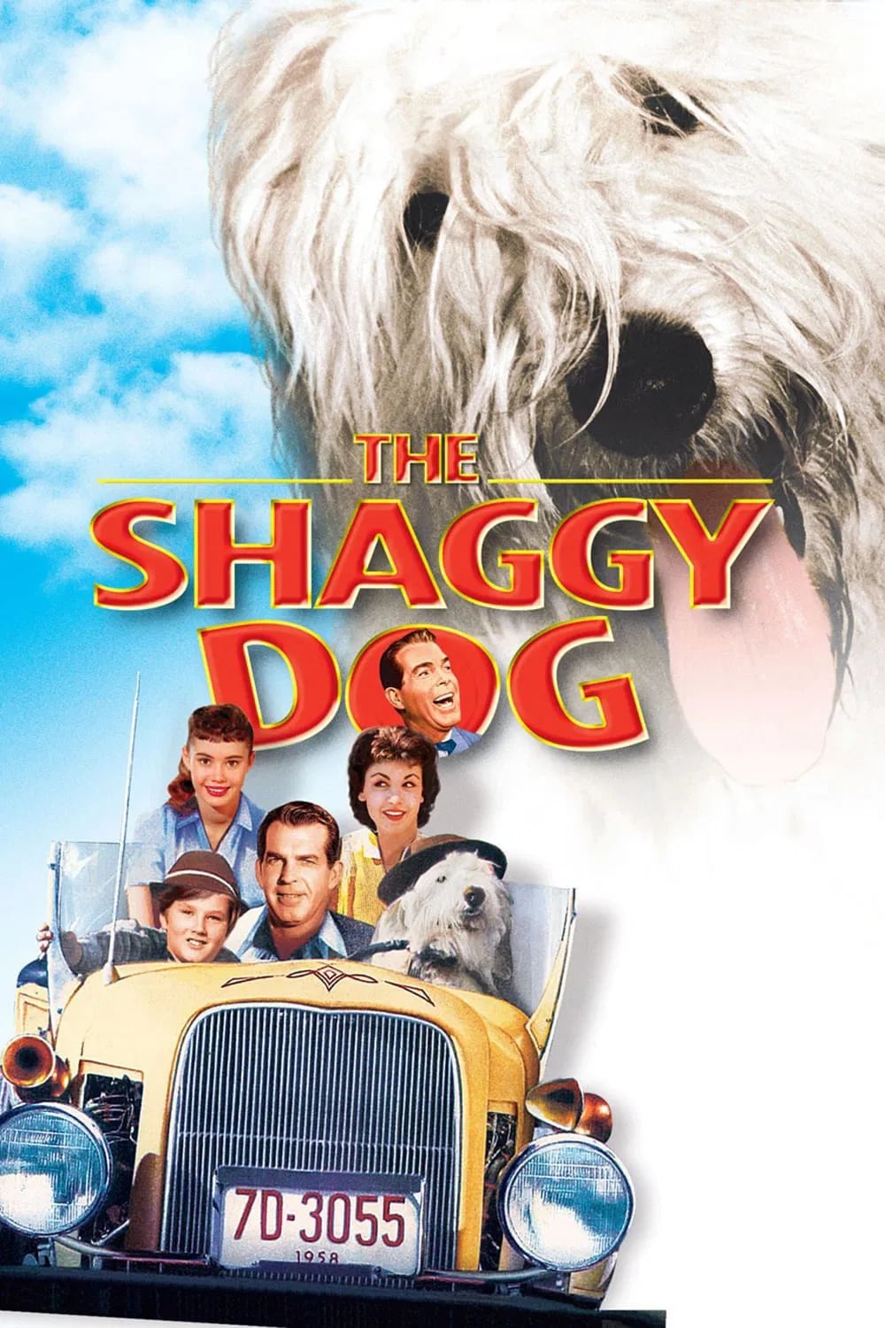 The Shaggy Dog - Cover