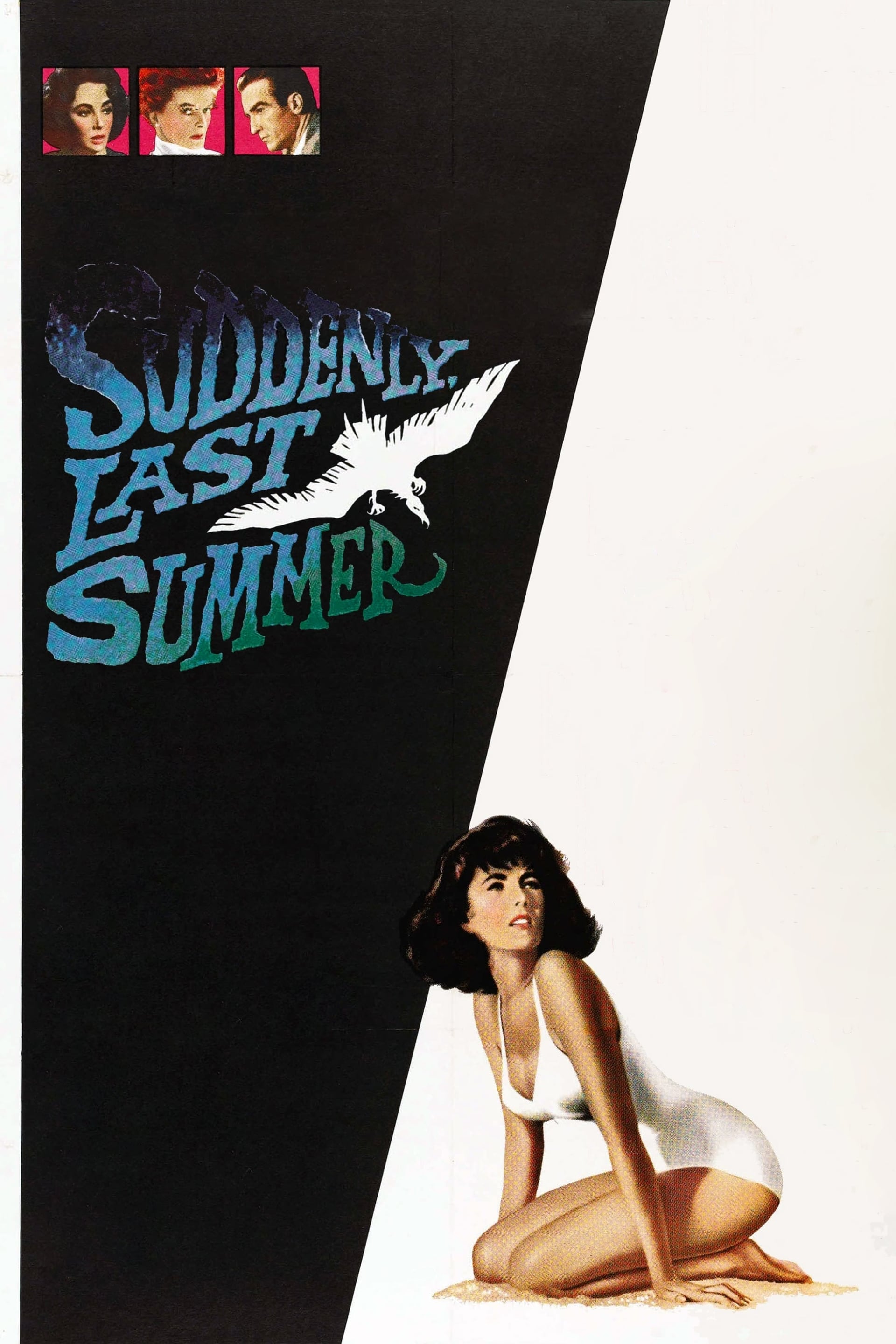 Suddenly, Last Summer - Cover