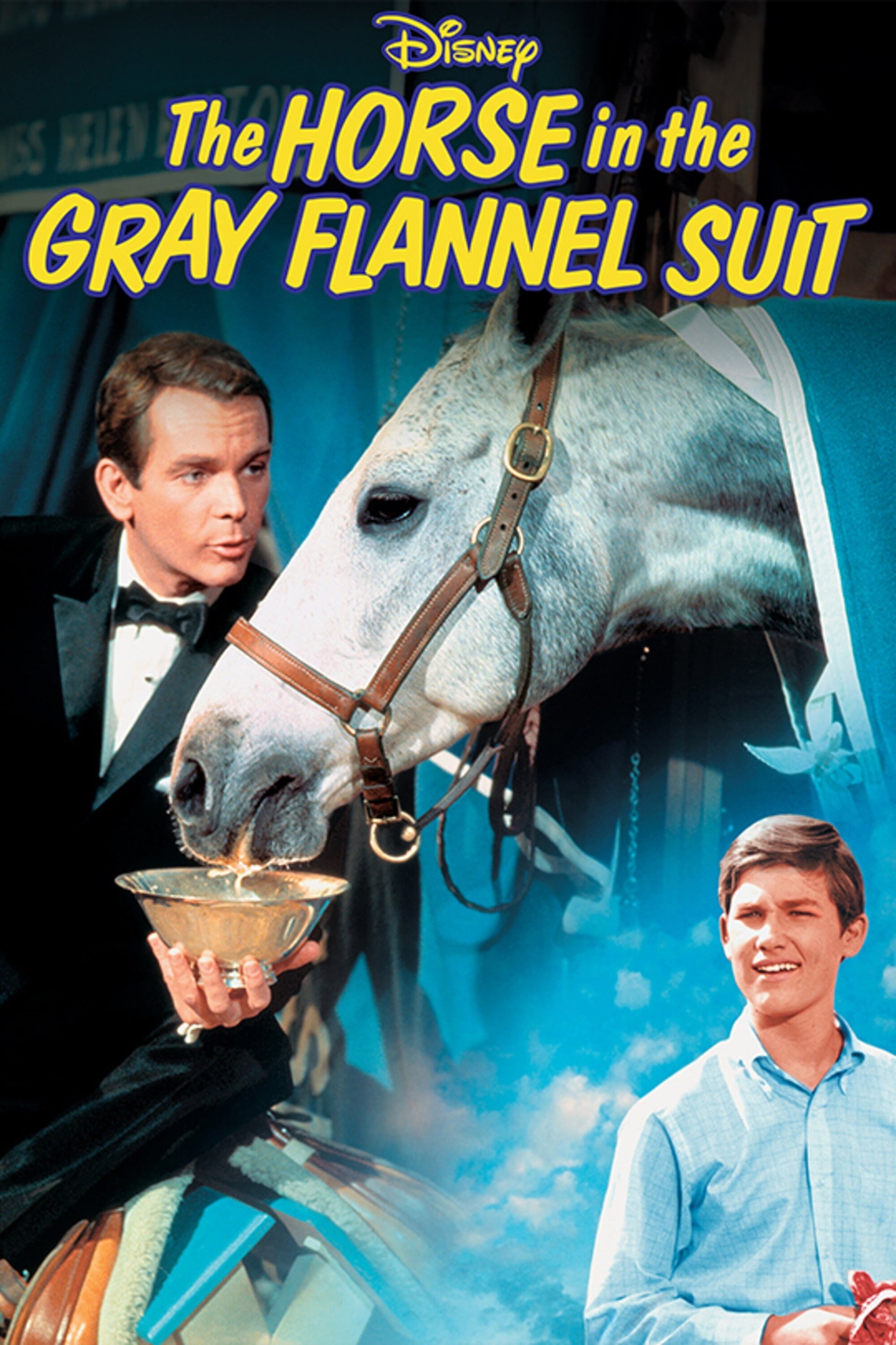The Horse in the Gray Flannel Suit - Cover