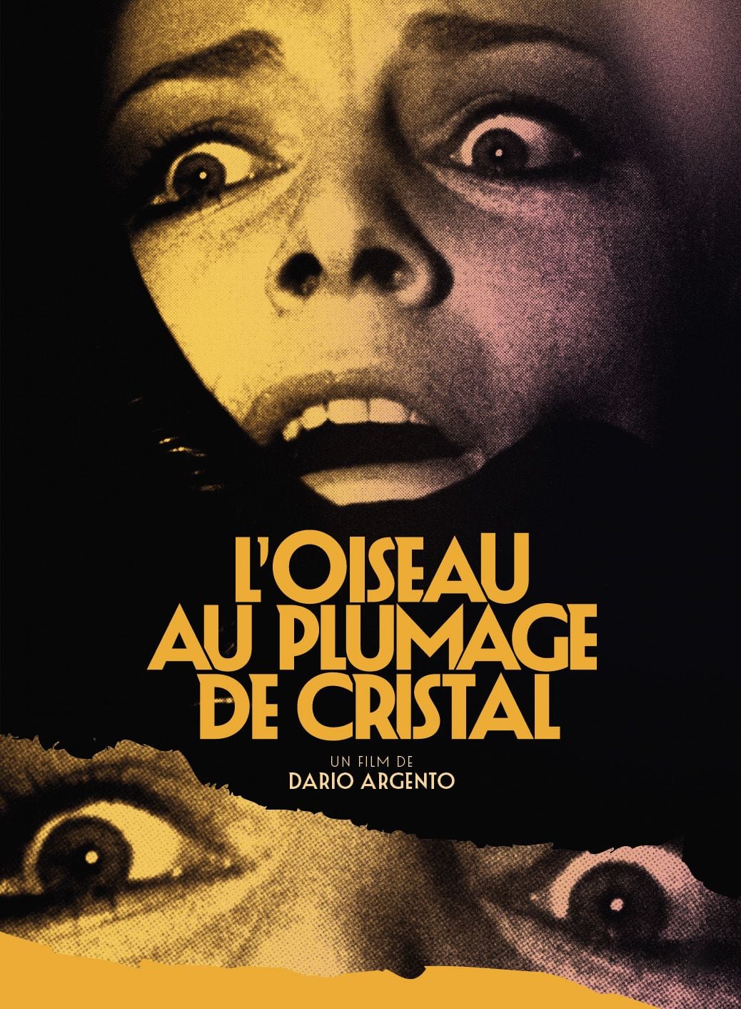 L'Oiseau au plumage de cristal - Cover