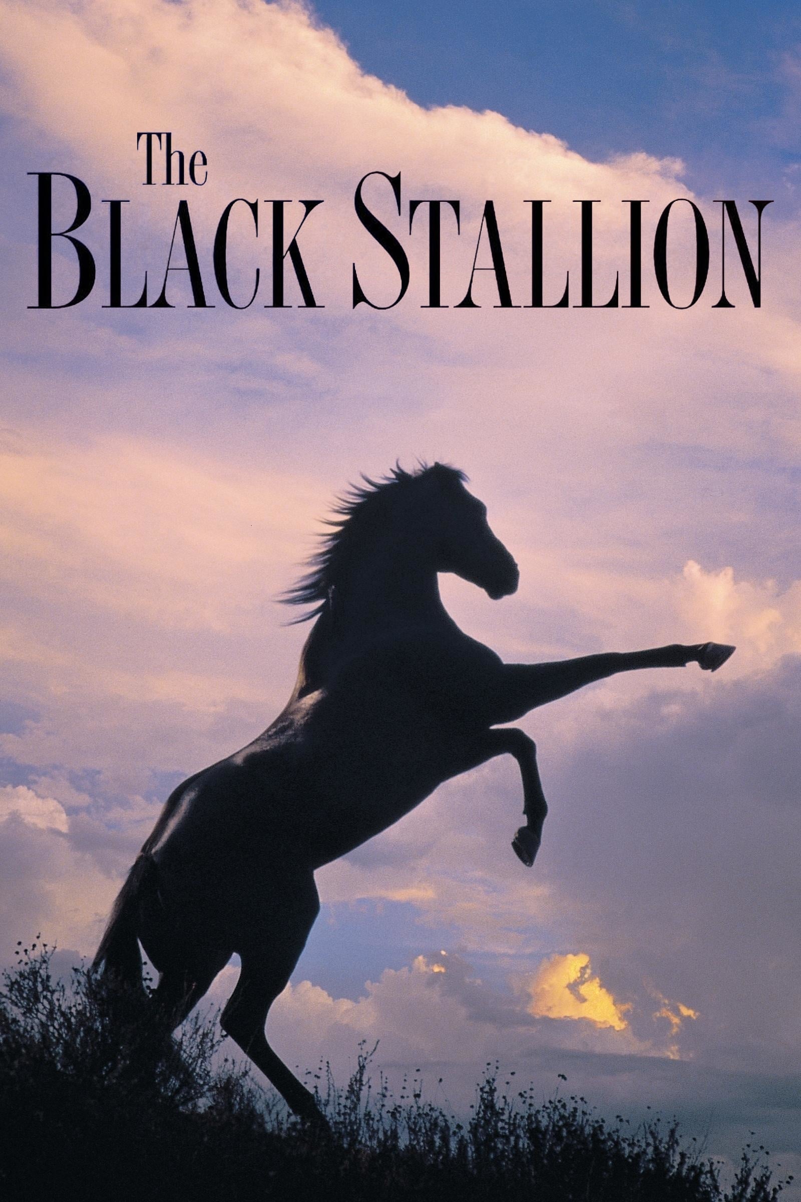 The Black Stallion - Cover