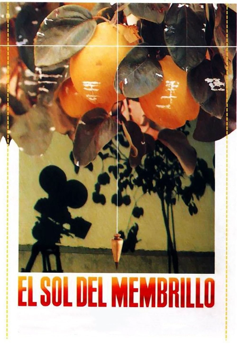 Memory Image