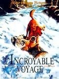 L'Incroyable Voyage - Cover