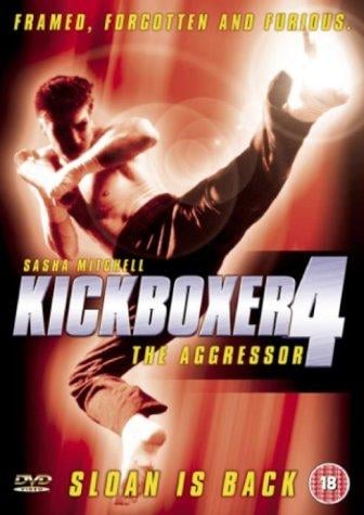 Kickboxer 4: The Aggressor - Cover