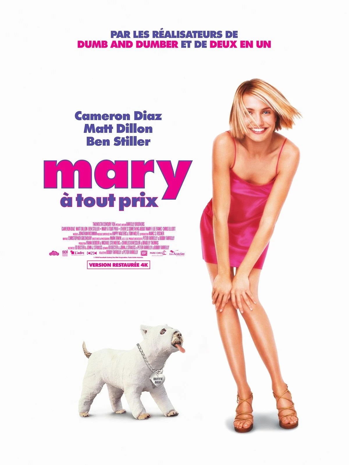 Mary à tout prix - Cover