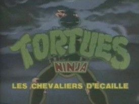 Tortues Ninja: Les chevaliers d'écaille - Cover