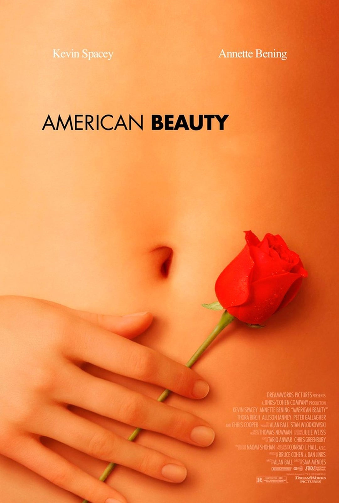 American Beauty - Cover