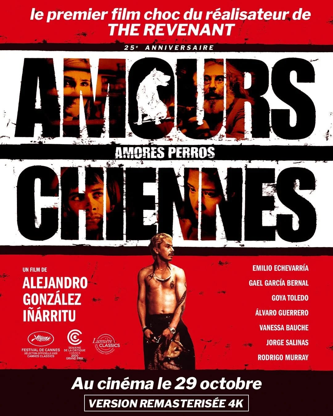 Amours chiennes - Cover