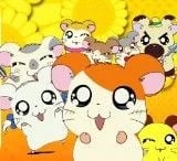 Hamtaro - Petits Hamsters, Grandes Aventures - Cover