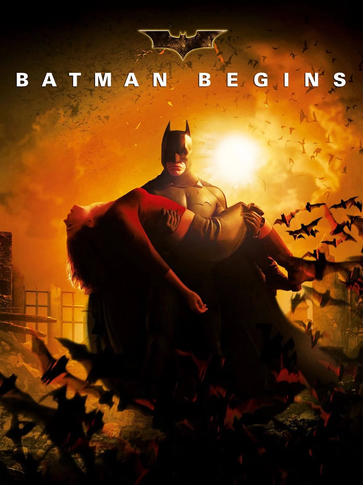 Batman Begins - Cover