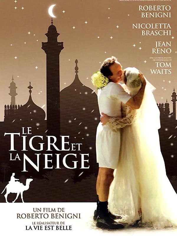 Le Tigre et la neige - Cover