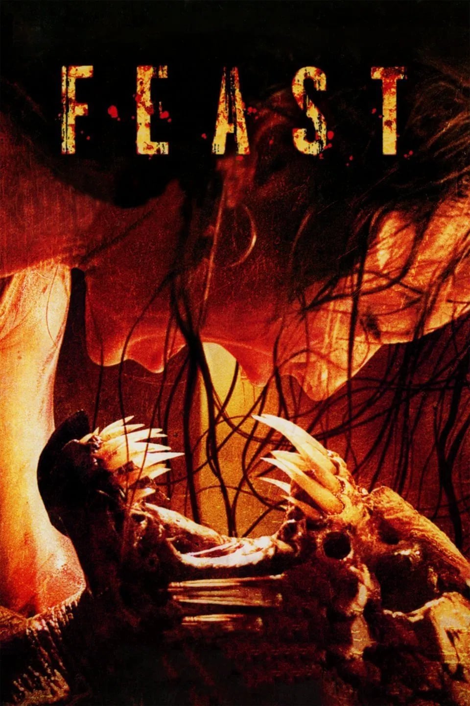 Feast - Cover