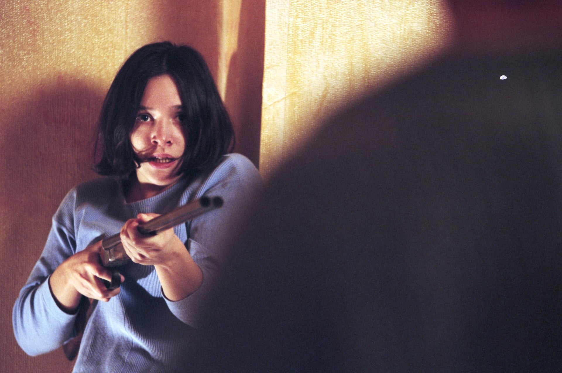 La vie en rose - Cover