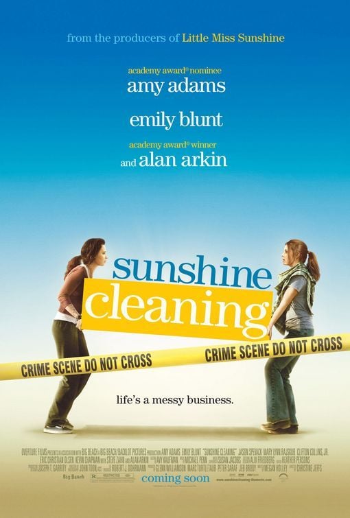 Sunshine Cleaning - Cover