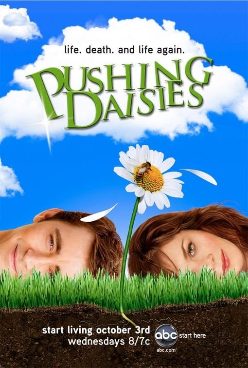 Pushing Daisies - Cover