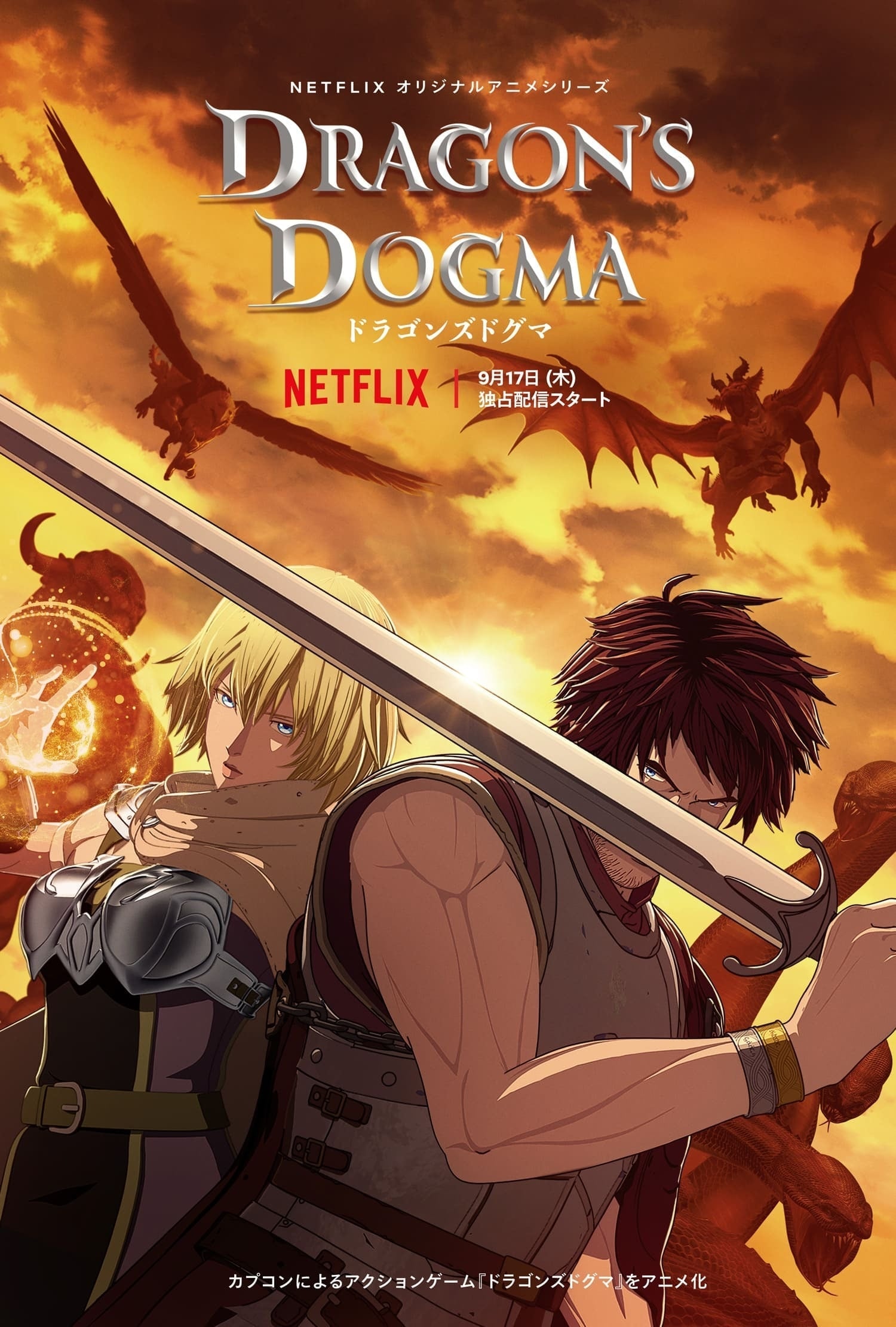 Dragon's Dogma - Cover
