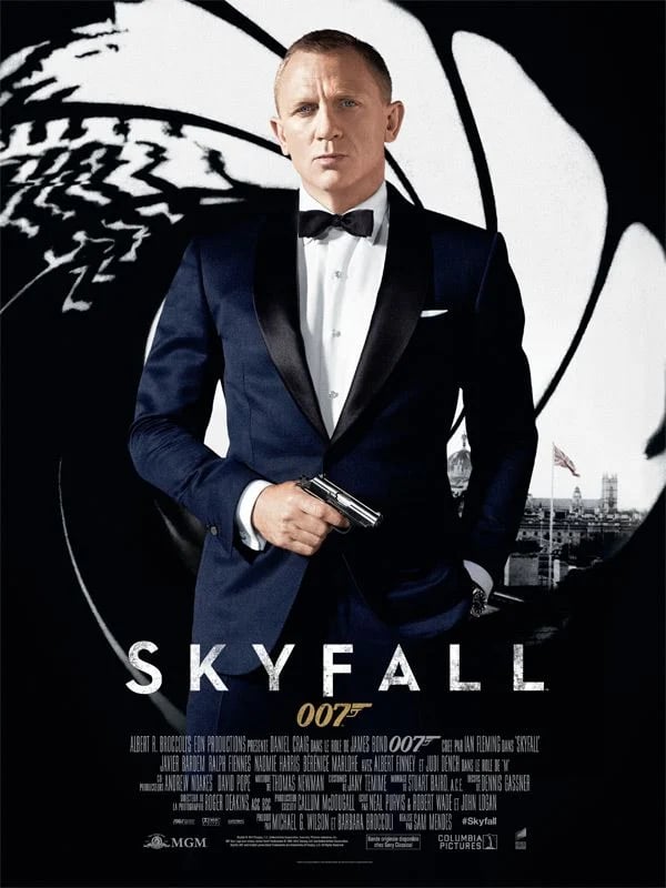 Skyfall - Cover