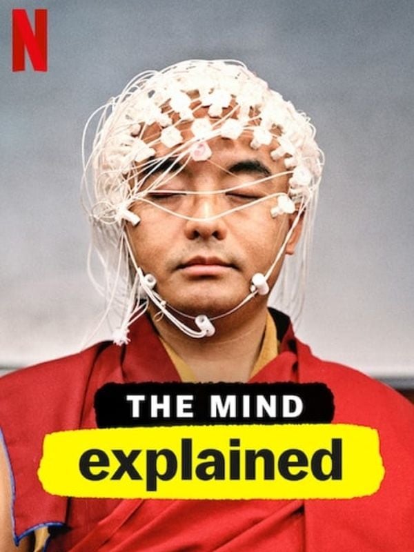 Le Cerveau, en bref - Cover