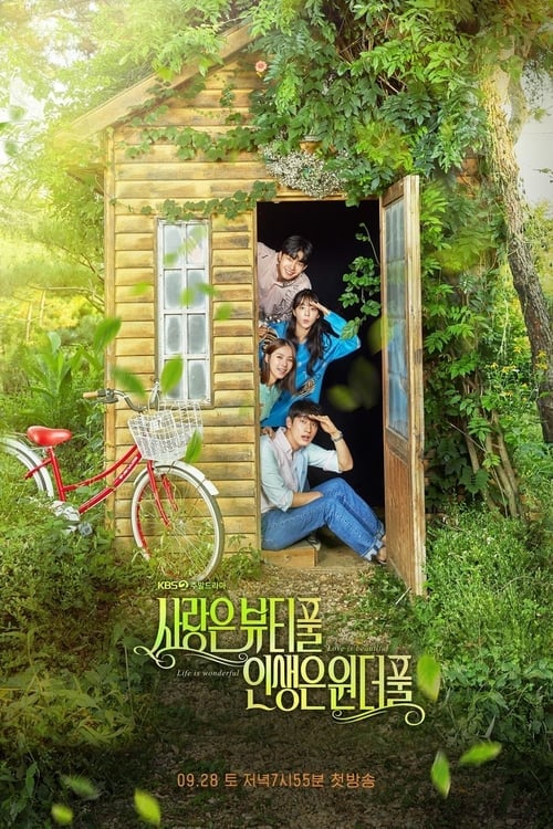 Love is Beautiful, Life is Wonderful - Cover