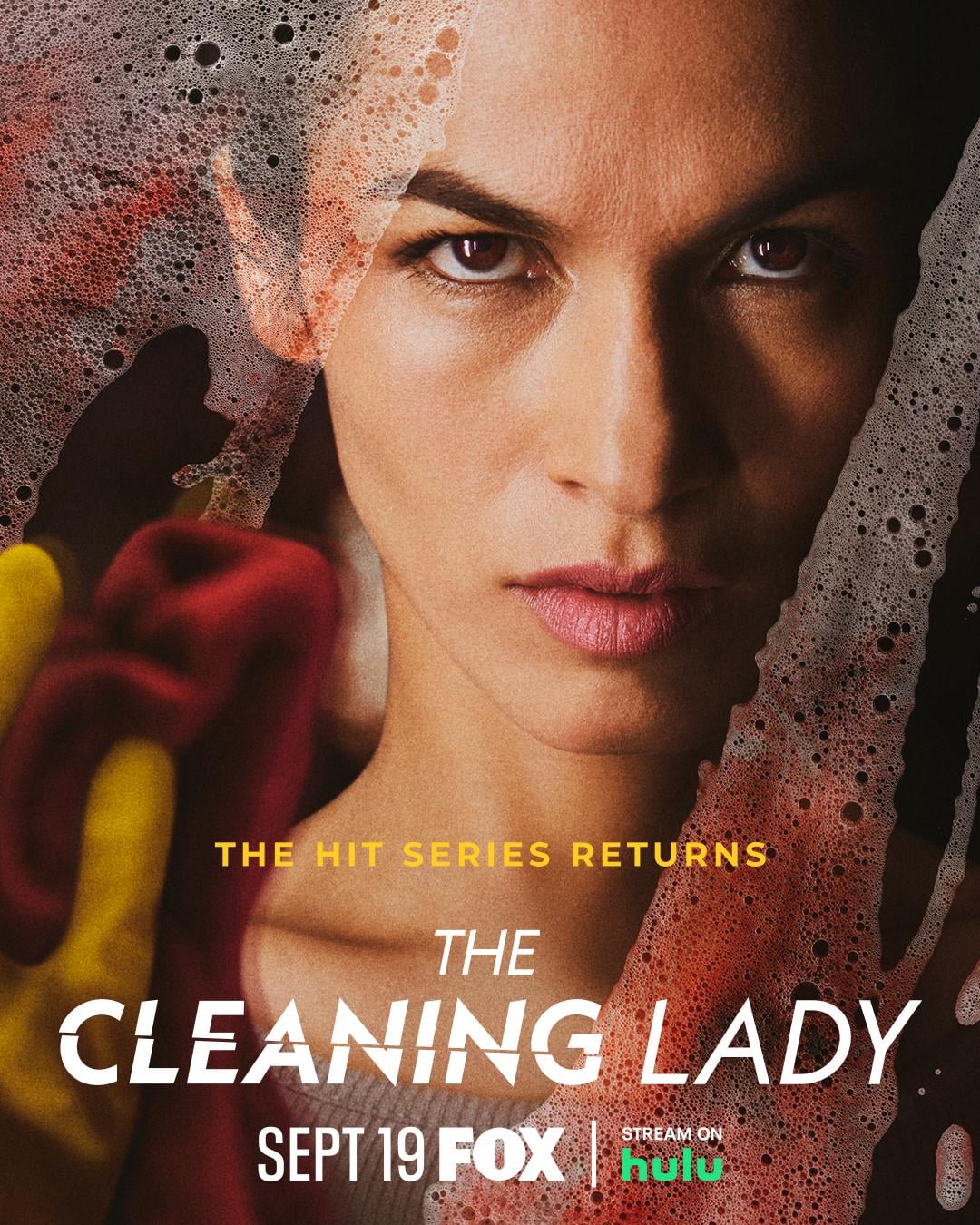 The Cleaning Lady - Cover