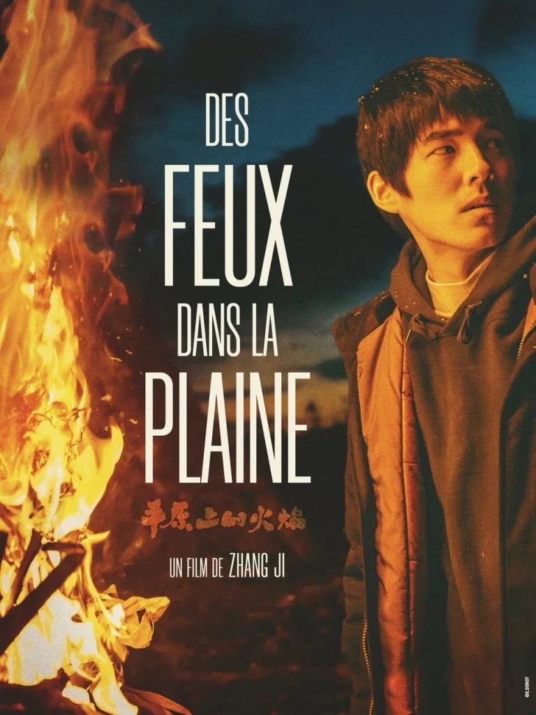 Des Feux dans la Plaine - Cover