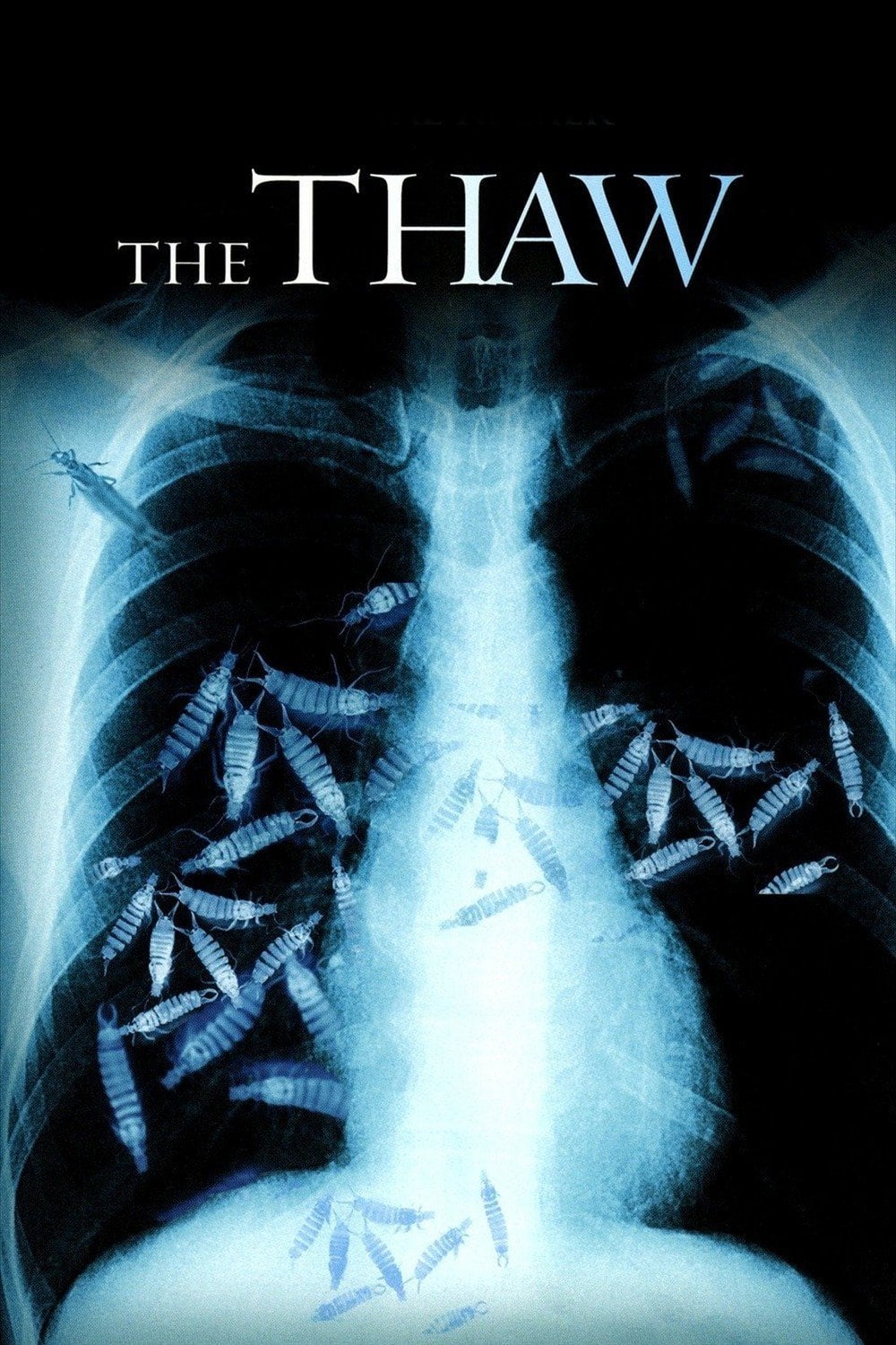 The Thaw - Cover
