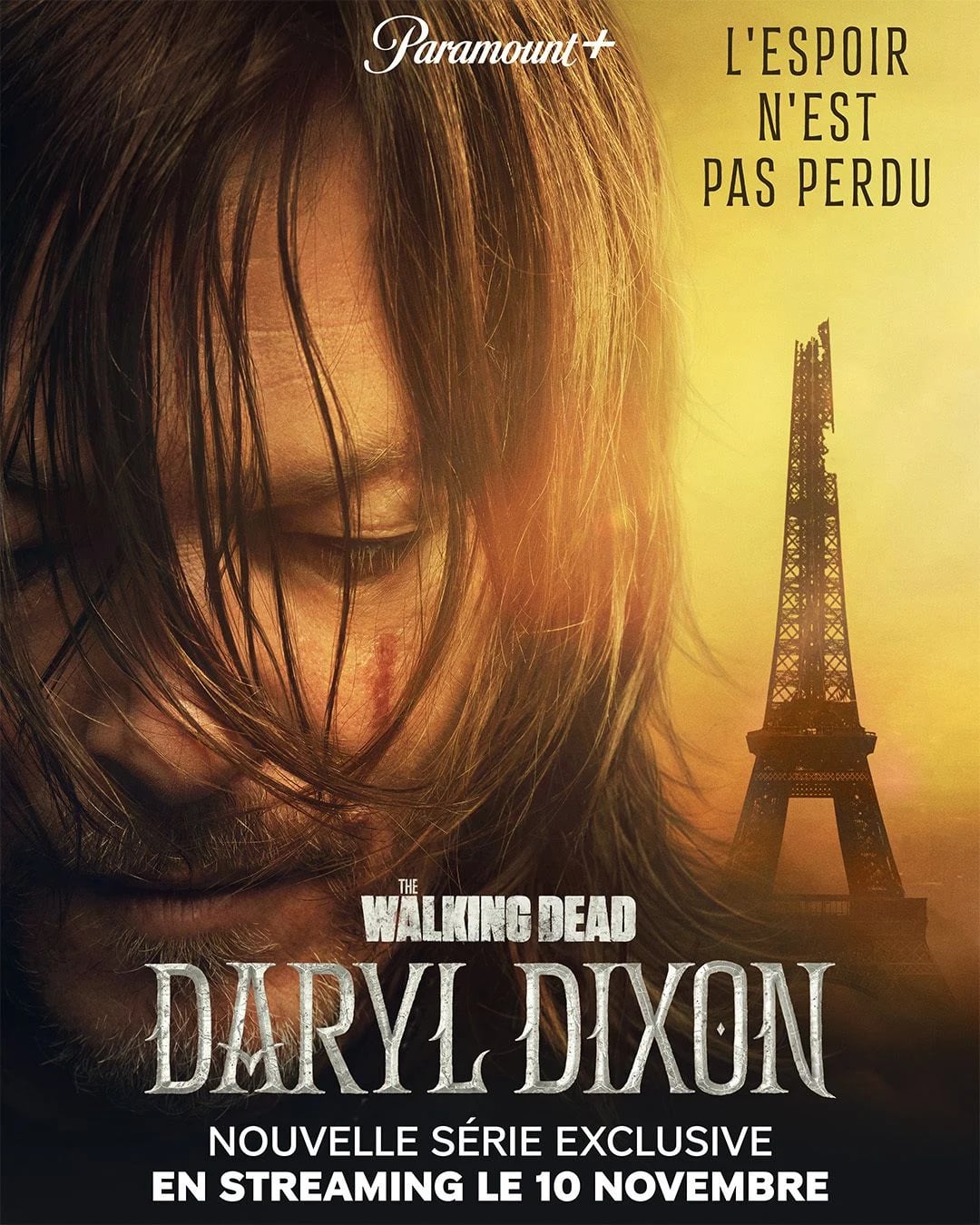 The Walking Dead : Daryl Dixon - Cover